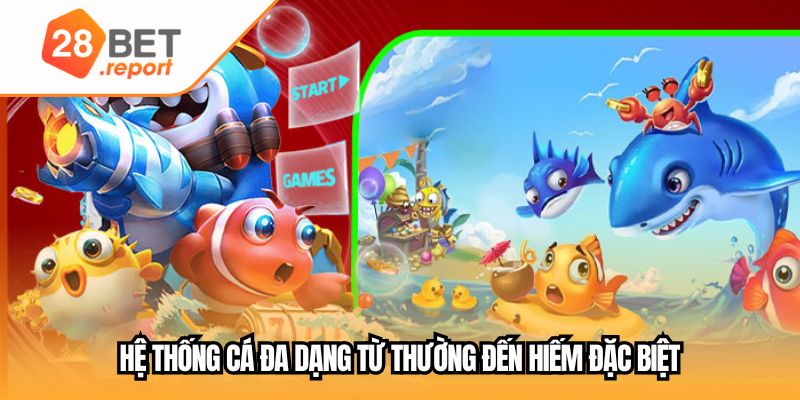 Hệ thống cá đa dạng từ thường đến hiếm đặc biệt