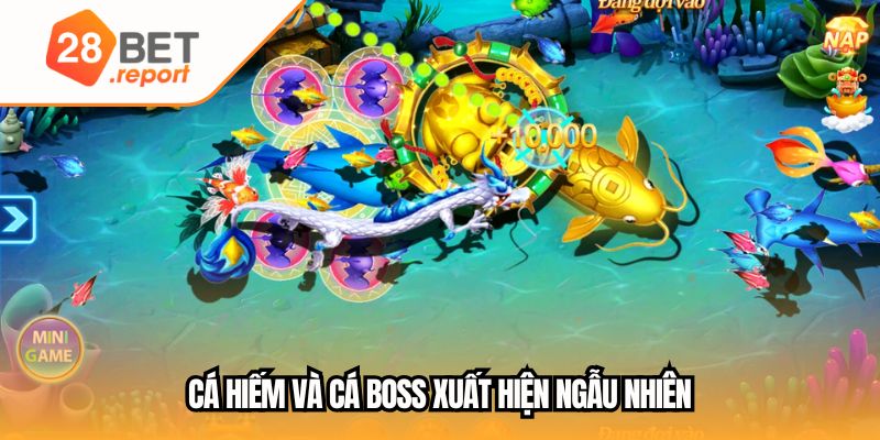 Cá hiếm và cá boss xuất hiện ngẫu nhiên