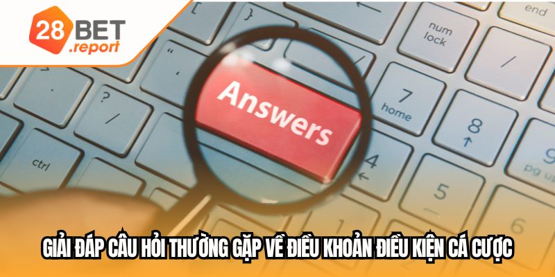 Giải đáp câu hỏi thường gặp về điều khoản điều kiện cá cược